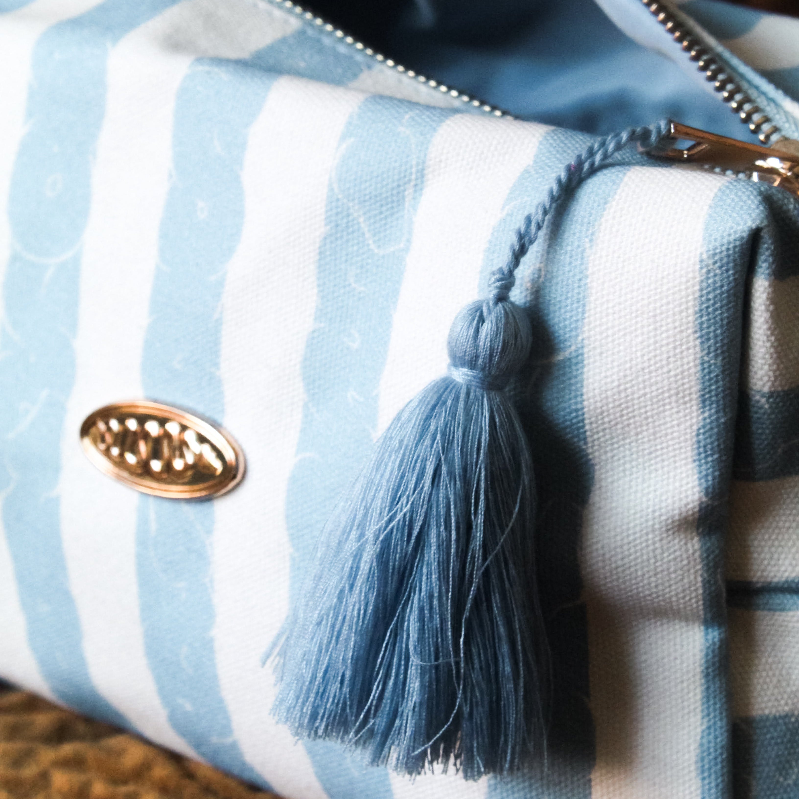 Serpentine Stripe Travel Bag - Powder Blue